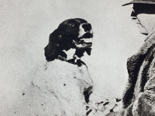 P-1 7 ART PAPER ETCHING PRINT PHOTOGRAVURE MAN HAT COAT ENGLISH SETTER VINTAGE - Picture 6 of 14