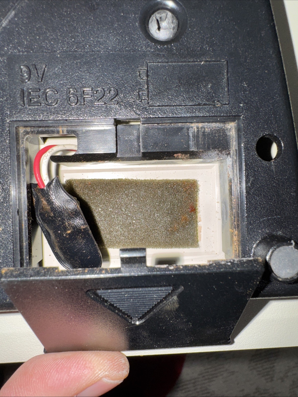 Picture 6 of 11