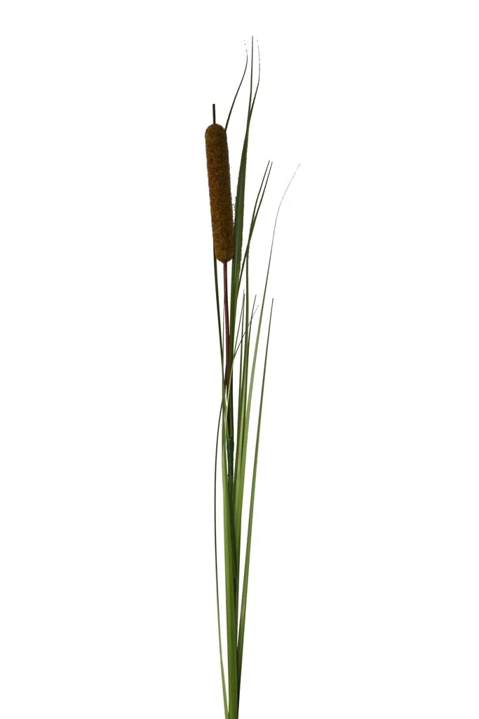 aufhnger blumenkasten Blumenkasten FIONA Metall Blumenwandkorb H/B/T 25/110/24 cm Eisen, dun