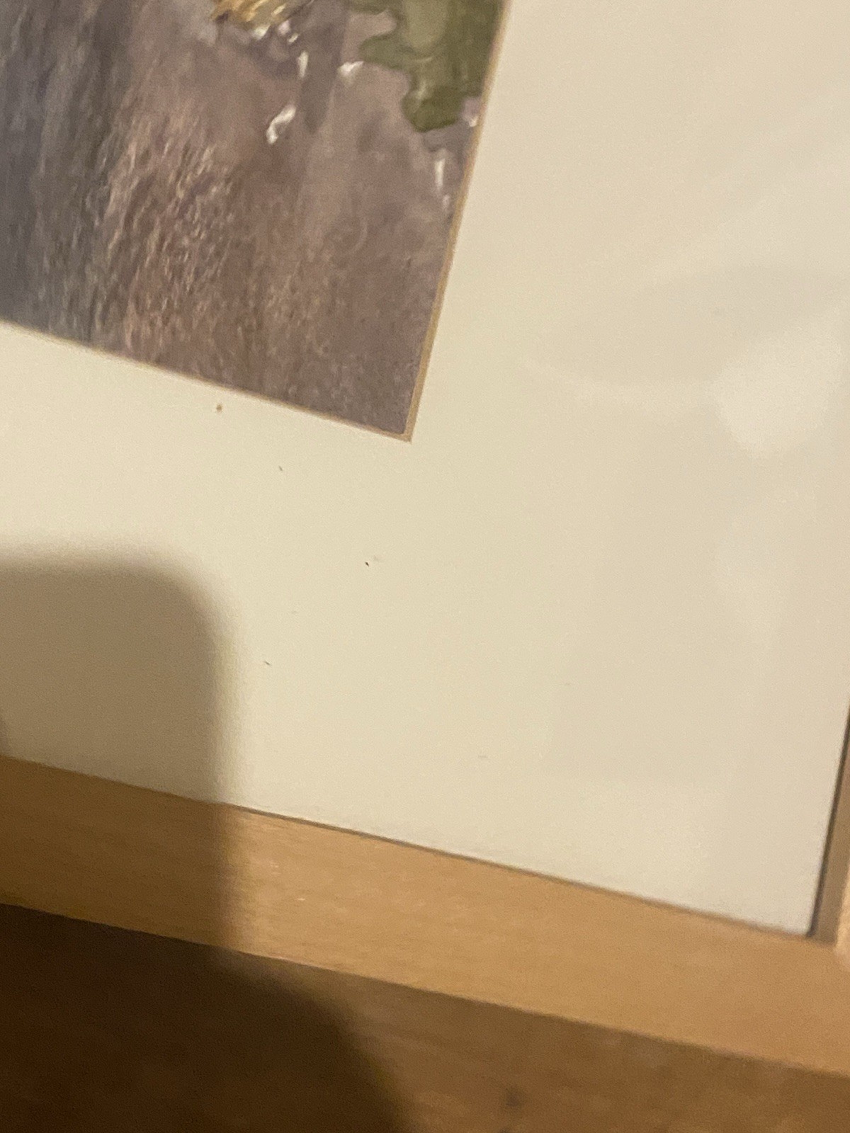 Picture 21 of 24