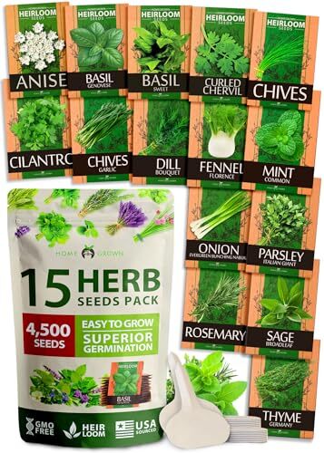 15 Culinary Herb Seeds - Heirloom & Non GMO - High Germination Rate - 15 Herb - Picture 6 of 7