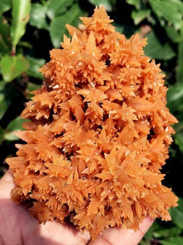 327,0g TOP!!! Neuer Fund rohe natürliche braune Jiejingshi Kristall Proben ie3112 - Bild 3 von 12