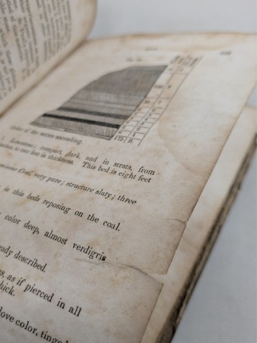 1844 Umrisse der Geologie JL Comstock Antik Christliche Wissenschaft Lehrbuch Schöpfung - Bild 18 von 24
