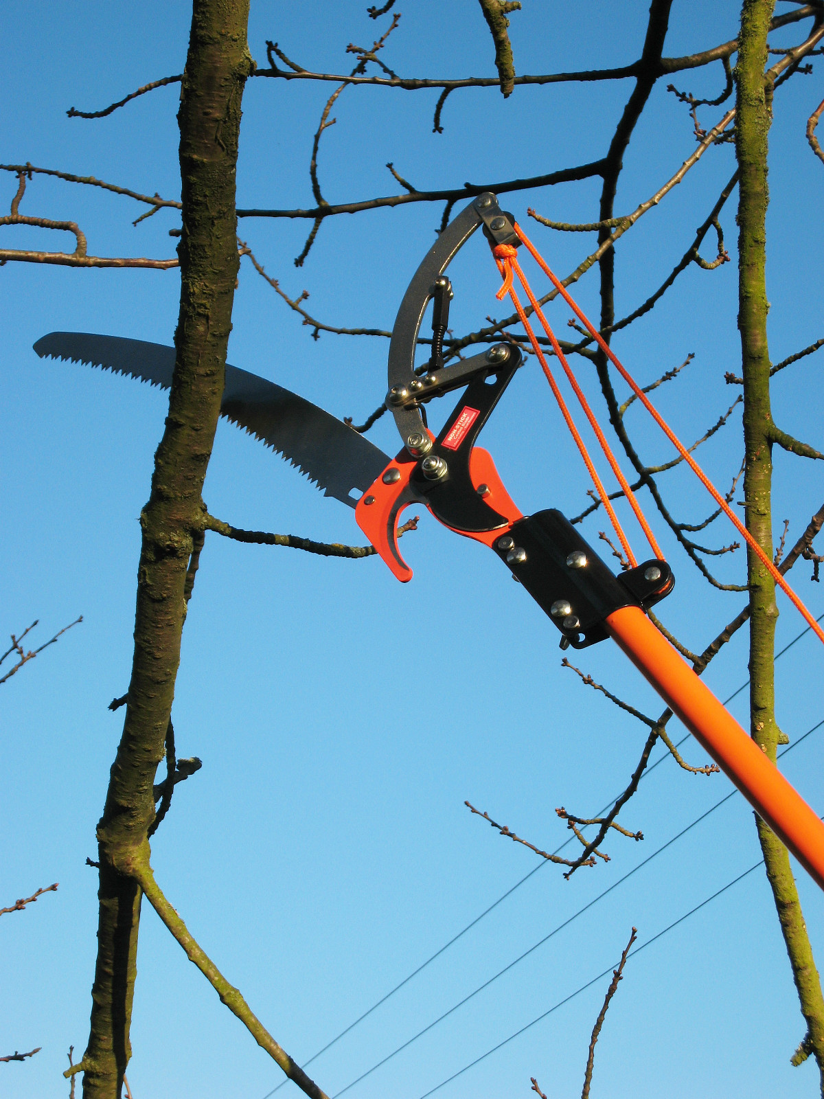 TELESCOPIC 2 PULLEY RATCHET ACTION POLE PRUNER WITH SAW eBay