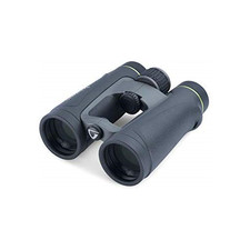 vanguard endeavor ed iv