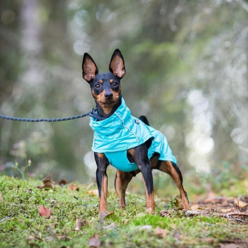 Rukka pets Hunderegenmantel Hase - Bild 1 von 31