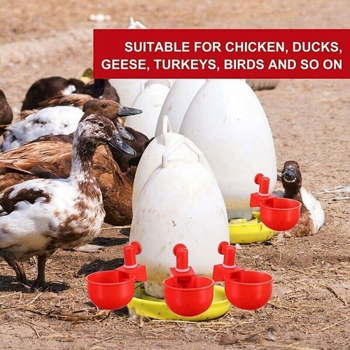 Automatic Water Cups Poultry Drinker Waterer Chicken Duck Quail Drinking-Red - Afbeelding 11 van 12
