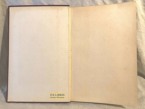 W B Yeats, Norah McGuinness - Stories of Red Hanrahan and The Secret Rose - 1927 - Imagen 7 de 8