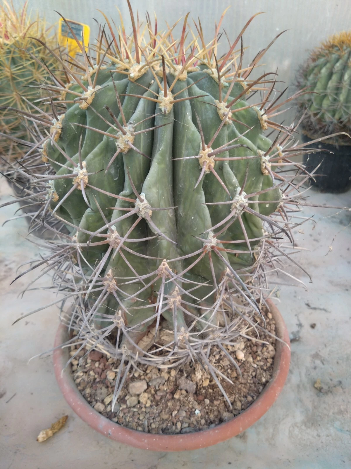 Foto 3 di 6