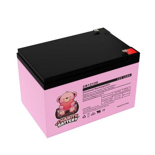 (2) 12V 12AH F2 Battery Replacement for Kid Trax Cat Bulldozer By Charity Batt - Picture 8 of 9