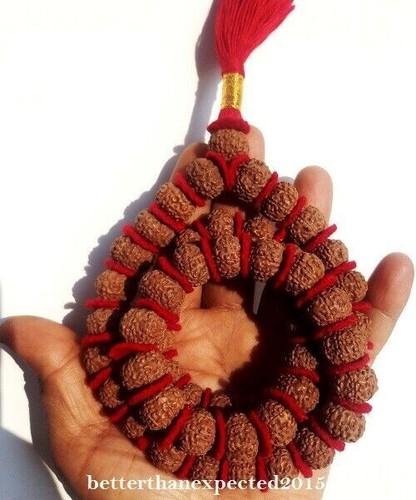 7 Mukhi Rudraksha / 7 Face Rudraksh Mala / Mahalaxmi Mala -54 Beads- Certified - Picture 3 of 4