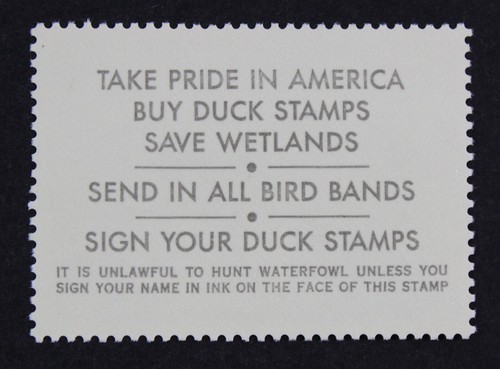 CKStamps: US Federal Duck Stamps Collection Scott#RW54 $10 Mint NH OG - Picture 2 of 2