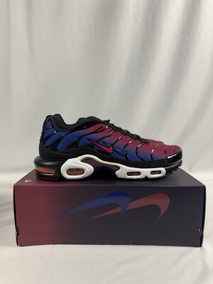 Patta Air Max Plus バルセロナモデル 28cm Size 11 - Nike Patta x FC Barcelona x Air Max Plus Culers