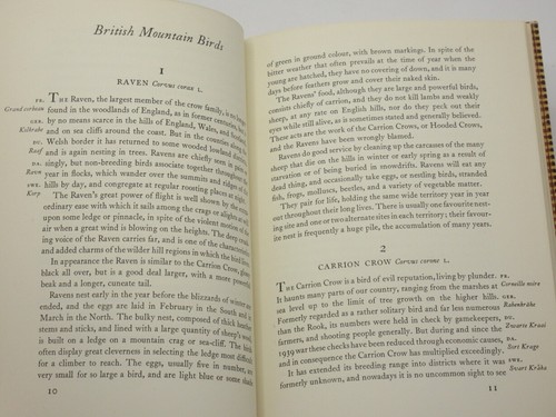 Mountain Birds R.A.H. COOMBES/LODGE 1952 1st Edition & Jacket King Penguin K67 - Bild 6 von 13