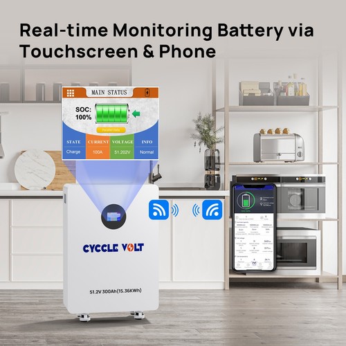 15.36kWh 48V Solar Storage LiFePO4 Lithium Battery 51.2V 300Ah New RV Solar Home - Picture 7 of 9