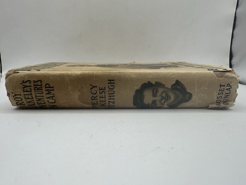 Roy Blakeley's Up In The Air Book, HB, DJ, Percy Keese Fitzhugh, Very Old. - Picture 5 of 8