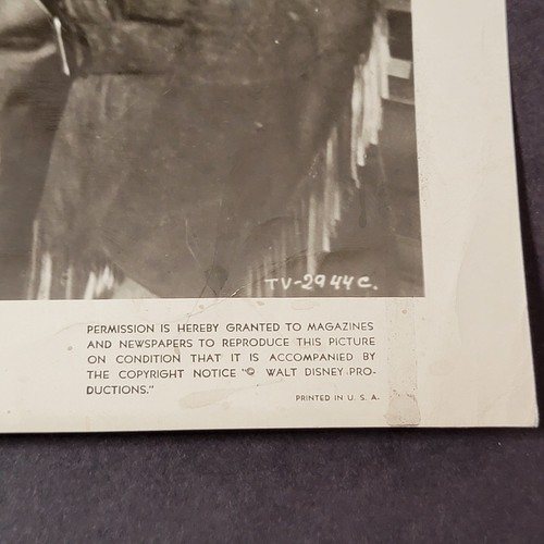 Original Vintage WDP Filmszene Pressefoto von Davy Crockett ca. 10x8 PA3 - Bild 4 von 8