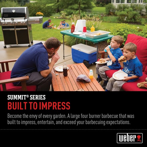 Weber Summit E470 LP BBQ – Premium Gas Barbecue Grill - Picture 3 of 7