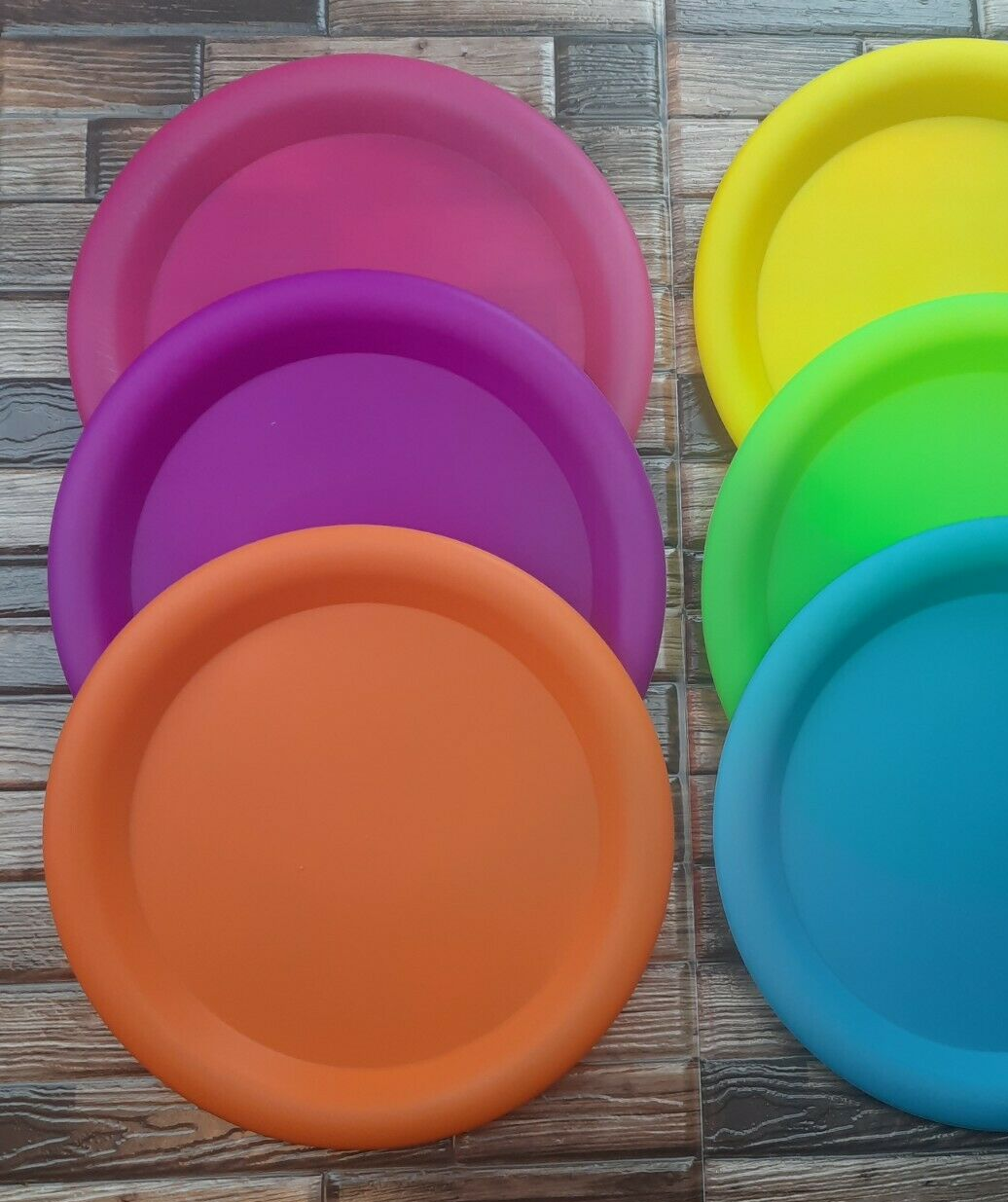 Reusable Plastic Plates Set of 6 Picnic BPAFREE 10" Wide Dishwasher