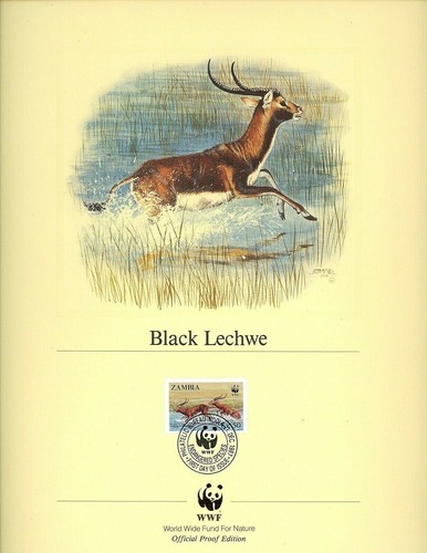 Postal History WWF FDC PANELS Zambia #427-430 Black Lechwe Antelope 1987 Set 4 - Picture 10 of 10