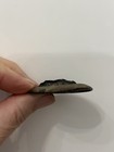 Foto 5 di 6