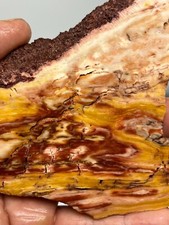 Gary Green Caldera Freedom Jasper Rough Slab Cabbing Lapidary Reiki Chakra