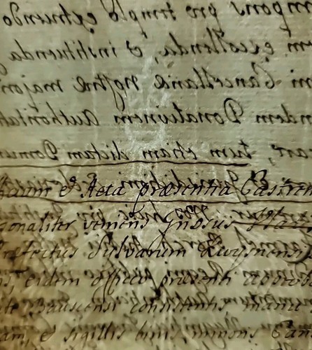 King Augustus III Royal Court of Jaroslaw Poland Lithuania Manuscript Document - Picture 14 of 24