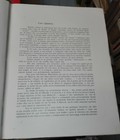 Foto 3 di 11