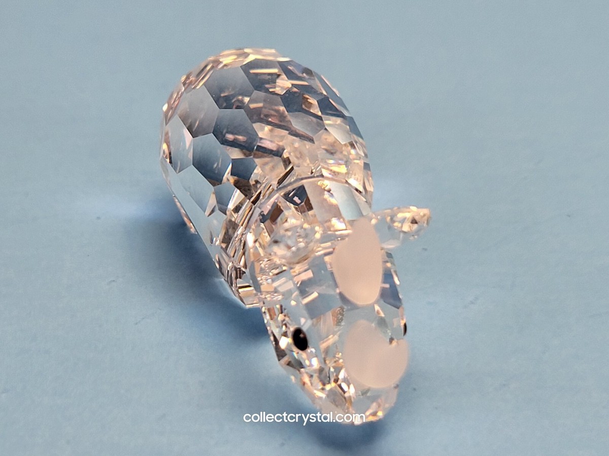 スワロフスキー　プテラノドン SWAROVSKI RHINOCEROS Rhino 151521 SMALL MIB Complete | eBay