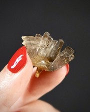 'Dragon's Blood Tree' Calcite - Fujian, China