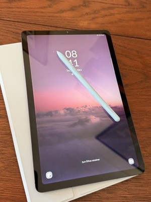 neuwertig Samsung Galaxy Tab S6 Lite 64GB Wi-Fi + extra