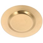  Stainless Steel Serving Platter Dinner Dishes Restaurant Plate Bbq Griddle