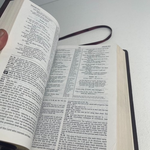 The NIV Study Bible - Red Letter - Zondervan - Foto 10 di 11