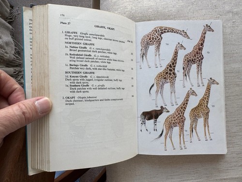 A FIELD GUIDE to the LARGER MAMMALS of AFRICA Vintage 1972 Dorst & Dandelot - Picture 14 of 19
