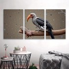 3pcs Bird on Branch Minimalist Nature Art Wall Art Canvas Framed 50x70cm