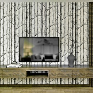 Papier Peint Blanc Pour Salon