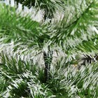 Bild 8 von 11