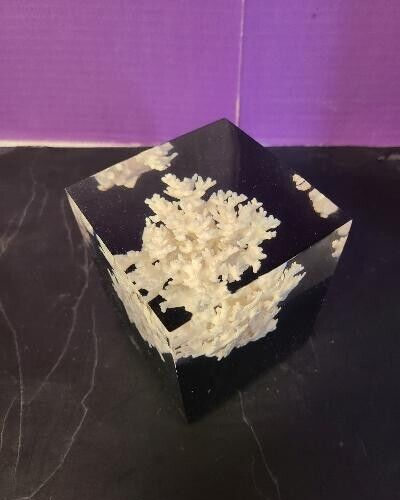 Chic Modern Vintage MCM Lucite Acrylic Cube Block Coral Sculpture Décor 2937 - Picture 11 of 12