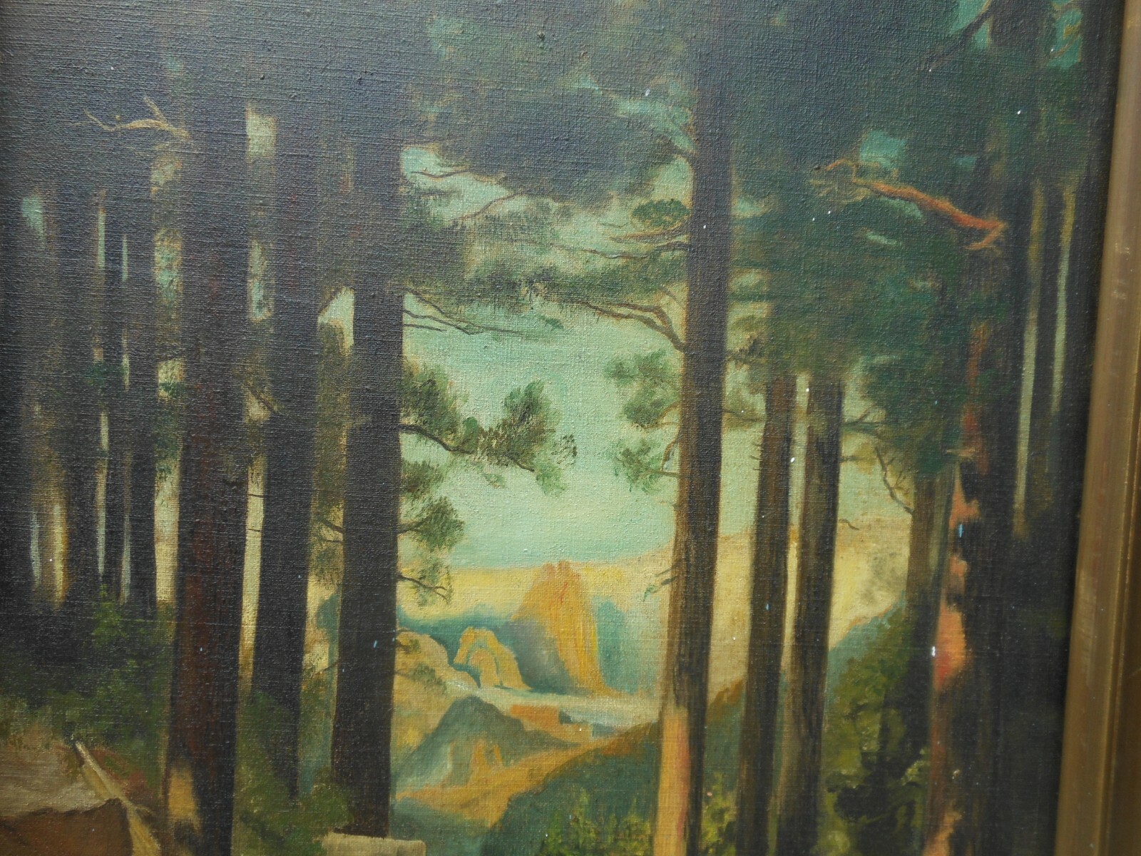 Picture 7 of 12