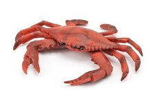 Crab Sea Animal Toy PVC Action Figure Doll Kids Toys Party Figurine Gifts