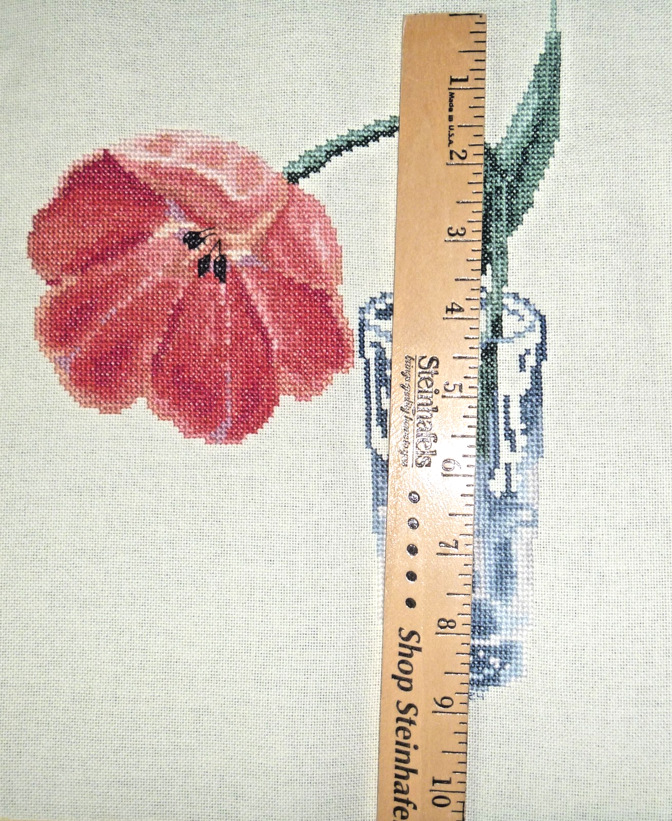 Picture 6 of 6