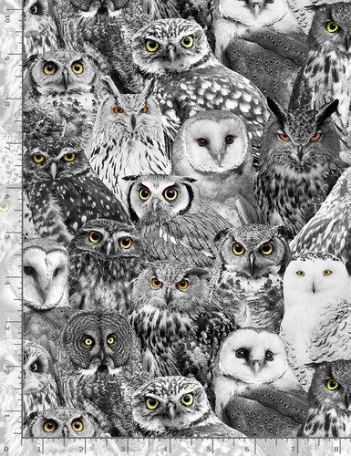 Owls Wicked 7883 Black Timeless Durable Cotton Fabric 9 & 2/3 yds in 1 length - Picture 2 of 2