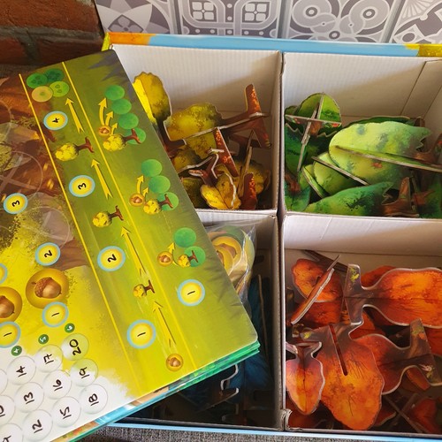 Photosynthesis Strategy Board Game - 100% Complete - Picture 3 of 3