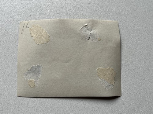 Foto DSWA, Kolonien, Soldaten, Südwester, Uniform, Deutsch-Südwestafrika, TOP - Bild 4 von 4