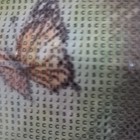 Foto 8 di 19