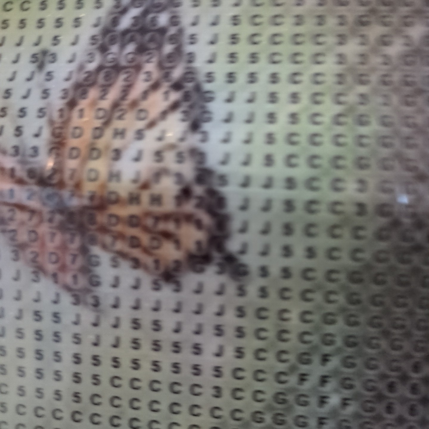 Bild 8 von 19