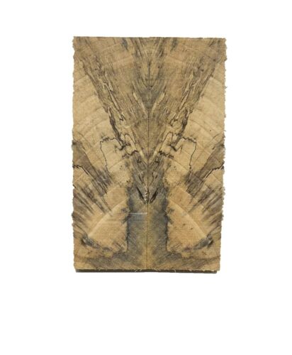 Spalted Tamarind Crosscut Knife Scales Wood Blanks Book matched 5"x1-1/2"x3/8" - Picture 2 of 7