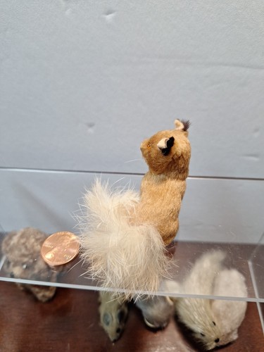 Miniatur Kleintier Echtfell Made In Germany 2 Zoll - Bild 3 von 6