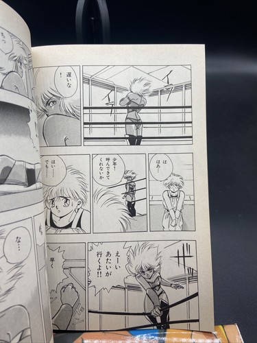 True impeachment Haung Sheng Den Puppe 1 (Nora Comics) Tosihiro Hirano 4051061337 - Bild 4 von 6