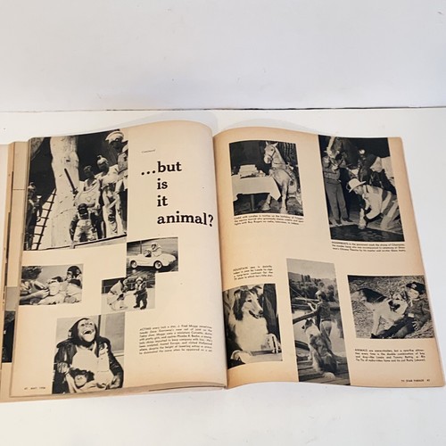 Vintage May 1956 TV Star Parade Magazine Lucille Ball Cover - Picture 13 of 16